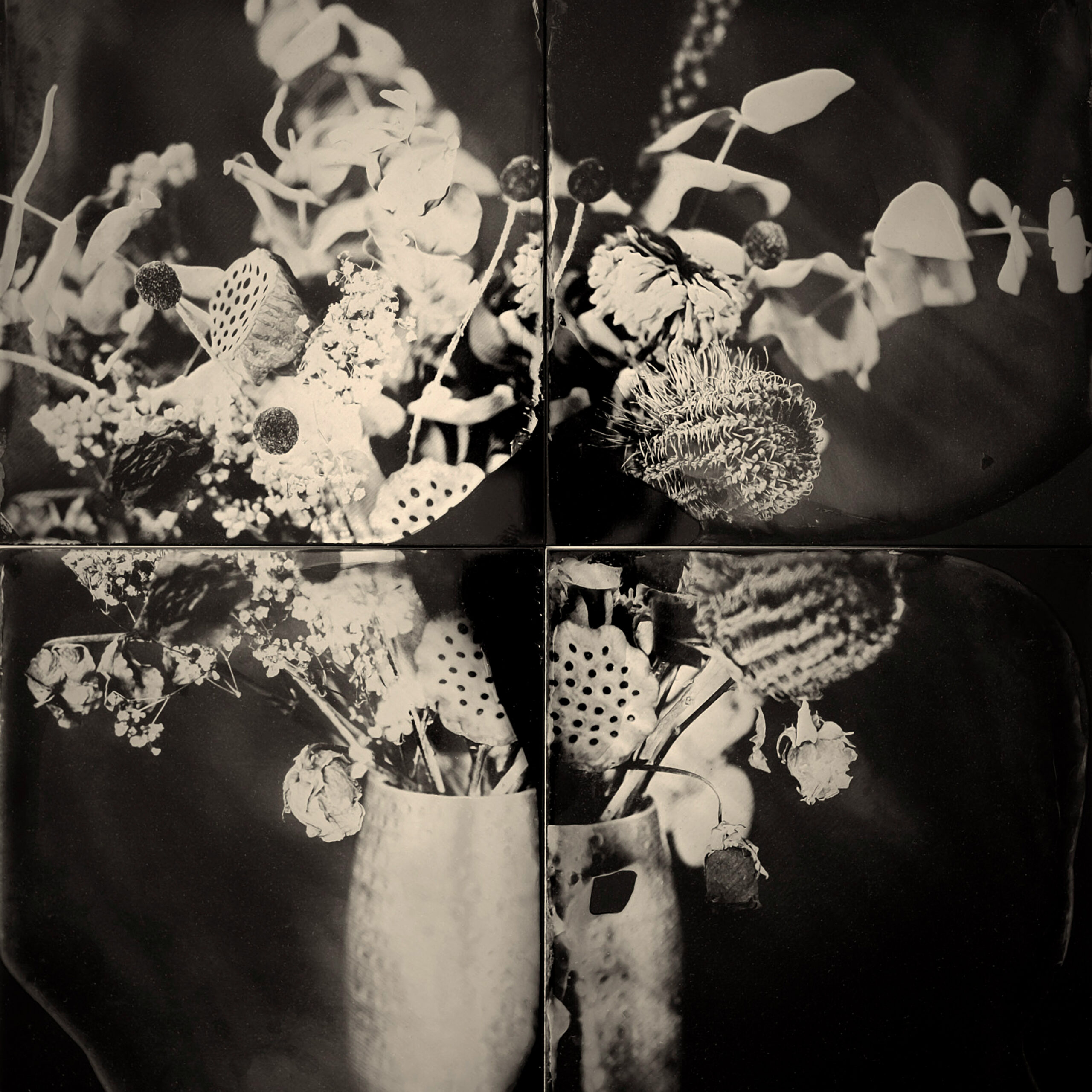 Phillip England / Four panel bouquet / 2016 / panel of four collodion tintypes/ 20cm x 25cm
