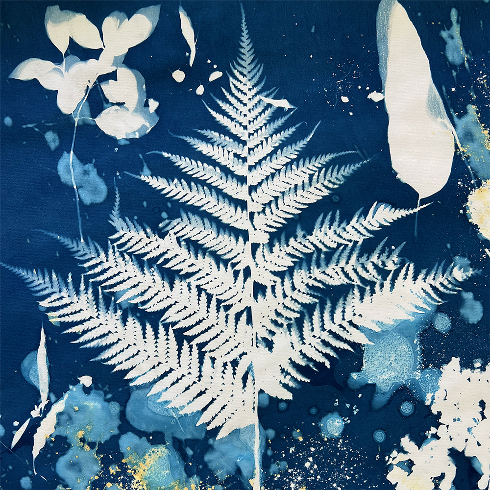 Angela Anderson. Waterworks Reserve (2025). Wet Cyanotype.  50cm x 70cm