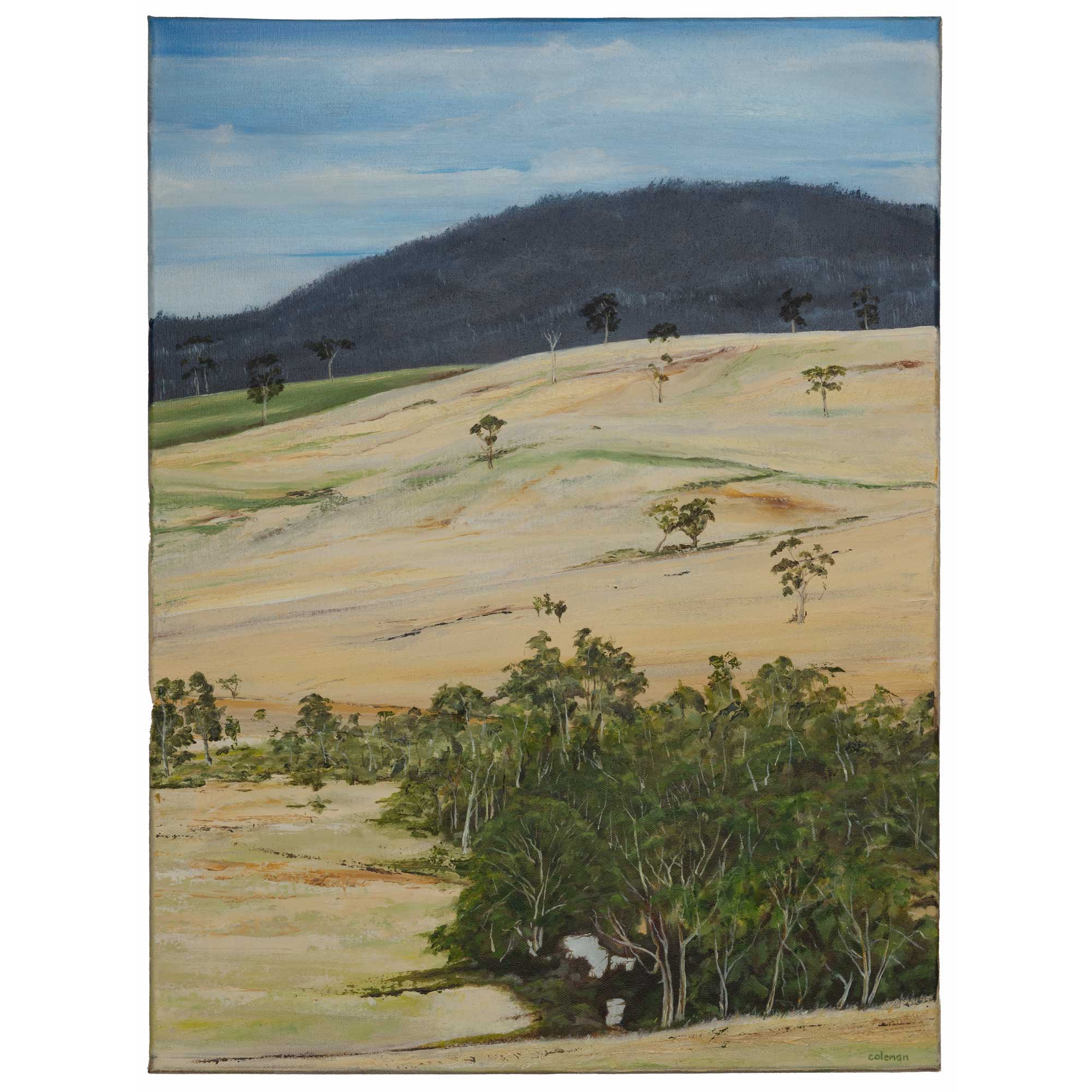 John Coleman. Carlton River #1 (2023). Oil on Canvas. 61cm x 51cm.  Eden Meure Photography.